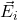 \vec{E}_i