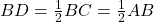 BD = \frac{1}{2}BC = \frac{1}{2}AB