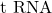 \text{t RNA}
