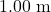 1.00 \text{ m}