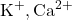 \text{K}^+, \text{Ca}^{2+}