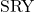 \text{SRY}