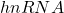 hnRNA
