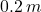 0.2\,m