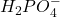 H_2PO_4^-