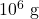 10^6 \text{ g}
