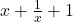 x + \frac{1}{x} + 1