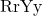 \text{RrYy}