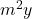 m^2y
