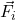 \vec{F}_i