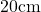 20 \text{cm}