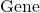 \text{Gene}