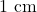 1 \text{ cm}