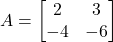 A = \begin{bmatrix} 2 & 3 \\ -4 & -6 \end{bmatrix}