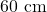 60 \text{ cm}