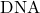 \text{DNA}