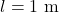 l = 1 \text{ m}