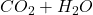 CO_2 + H_2O