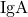 \text{IgA}