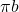 \pi b