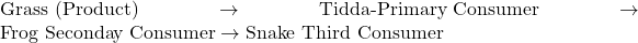 Rendered by QuickLaTeX.com \text{Grass} \text{ (Product)} \rightarrow \text{Tidda-Primary Consumer} \rightarrow \text{Frog Seconday Consumer} \rightarrow \text{Snake Third Consumer}