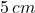 5\,cm