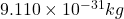 9.110 \times 10^{-31} kg