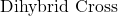 \text{Dihybrid Cross}