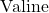 \text{Valine}