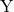 \text{Y}