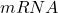 mRNA