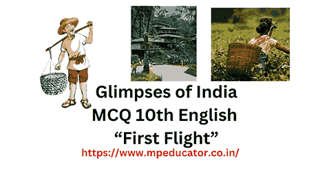 MCQs Glimpses of India