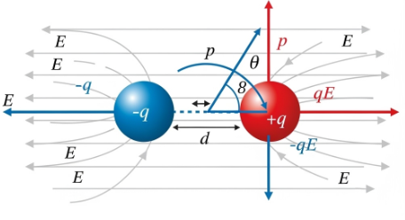 12th Physics Dipole in a uniform external field