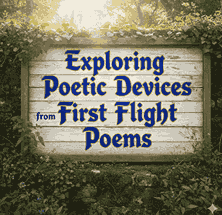 Poetic Devices from First Flight Poems