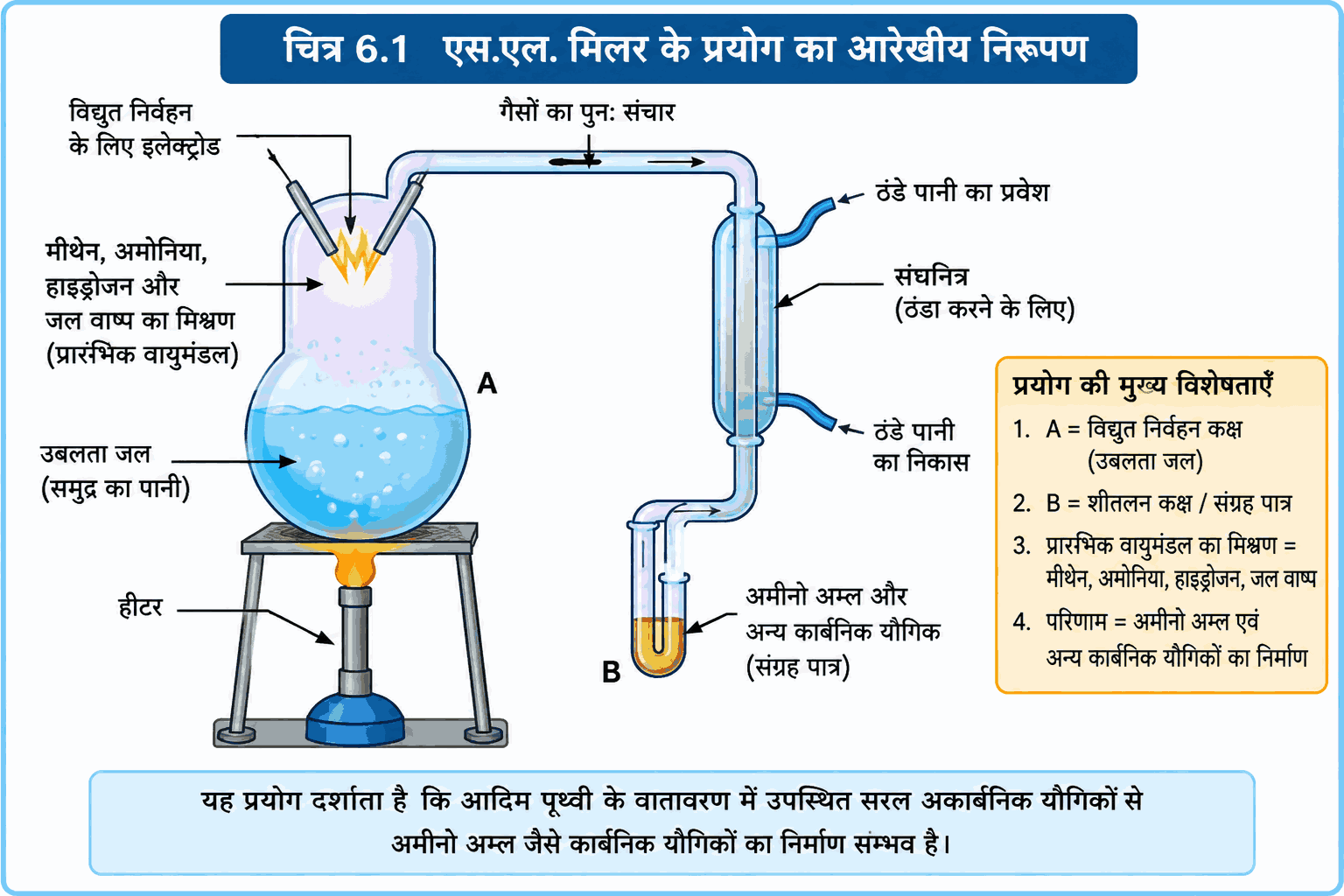 MP Board Class 12 Biology Chapter 6 Evolution