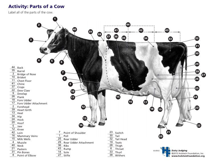 Meaning and Objectives of Livestock Judging
